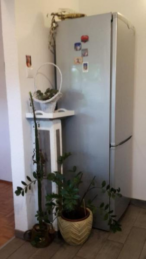 Apartment Ledenice, Novi Vinodolski 40867